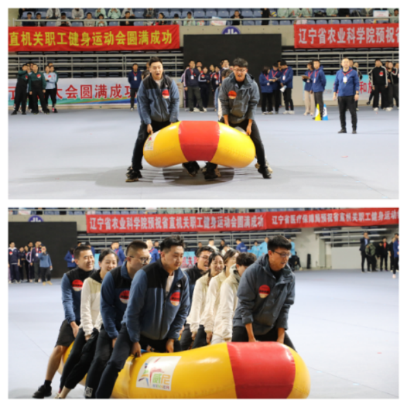 1699346728110961.png 86d0296be00bcd1efb7c8ba25f4ba4e.png